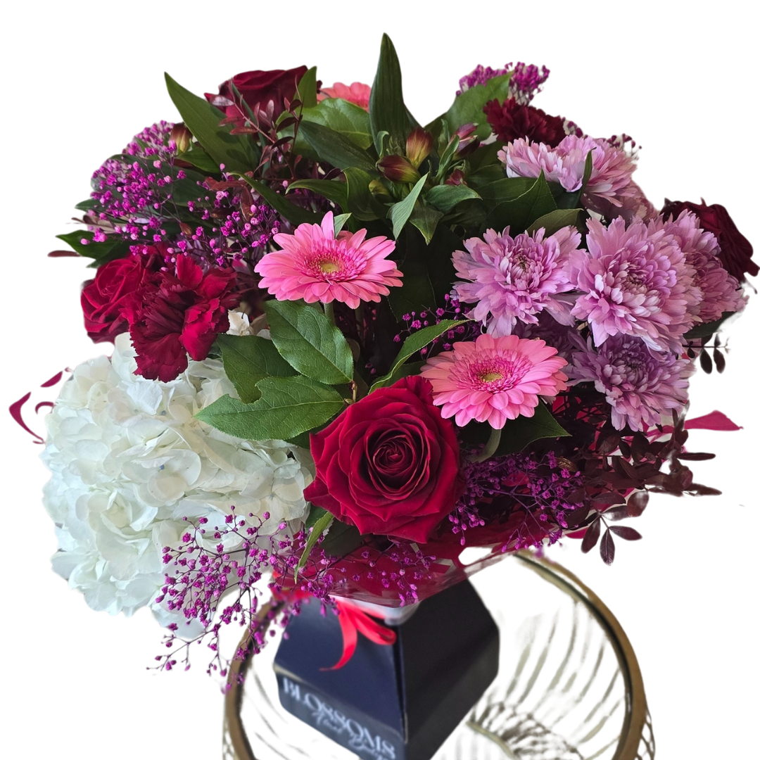 Wild Desire Designers Special