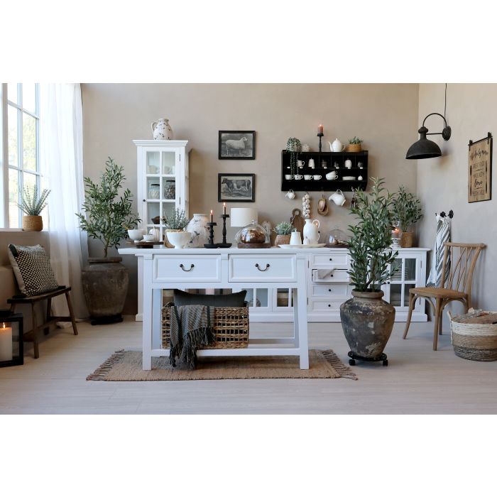 Green Fleur Olive Tree