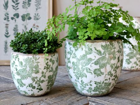 French Pattern Planter