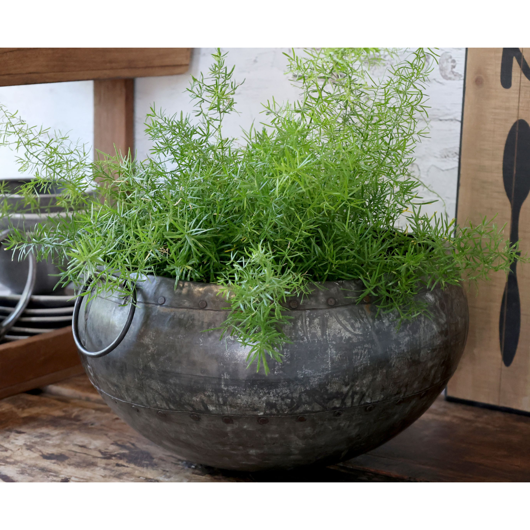 Chic Antique Grimaud Pot Zinc