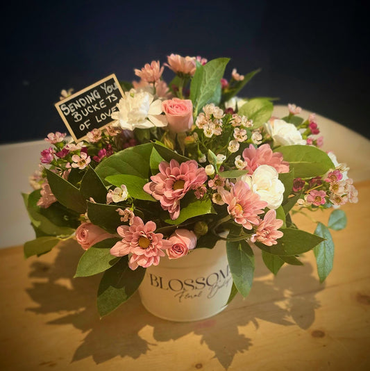 Bucket Of Love