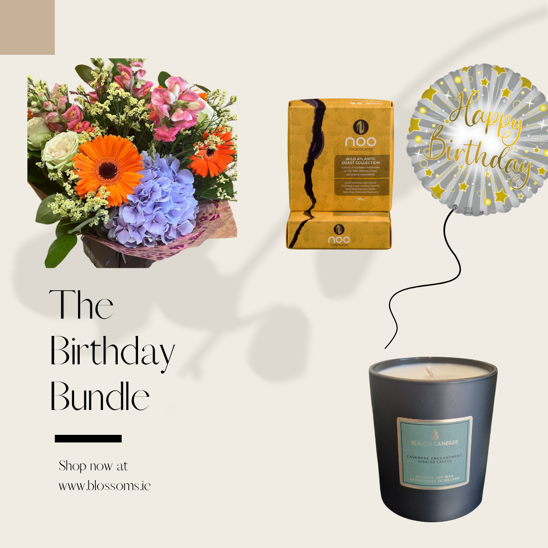 The Birthday Bundle
