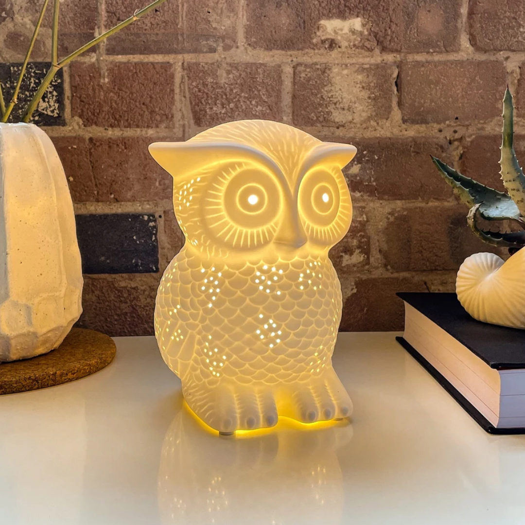 Belleek Owl Luminaire