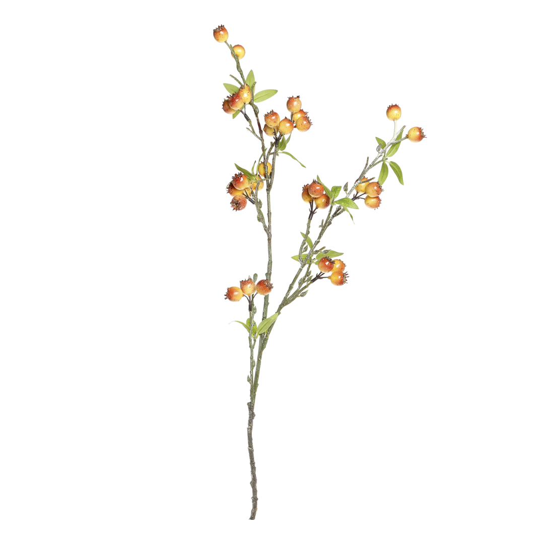 Fleur Branch W/ Sea Buckthorn