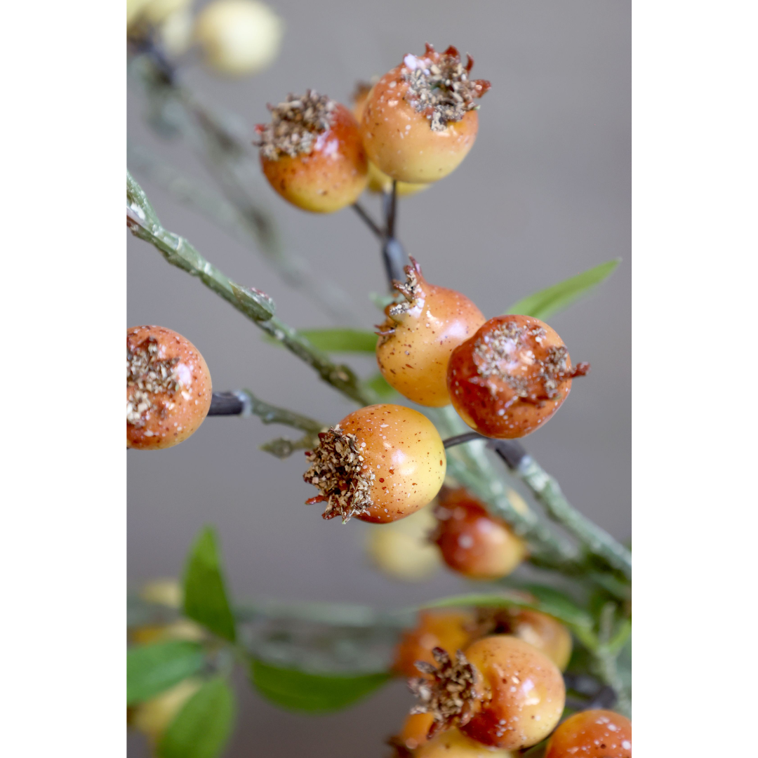 Fleur Branch W/ Sea Buckthorn