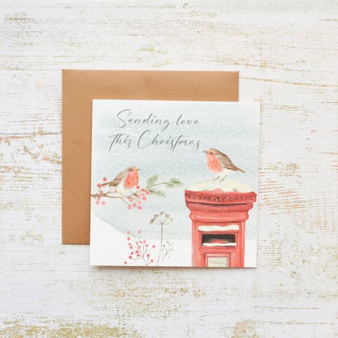 Christmas Robin & Postbox Card