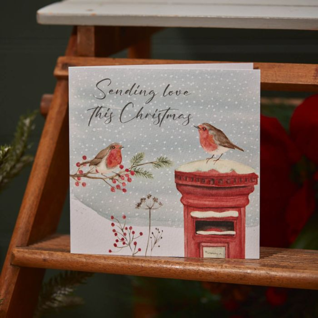 Christmas Robin & Postbox Card