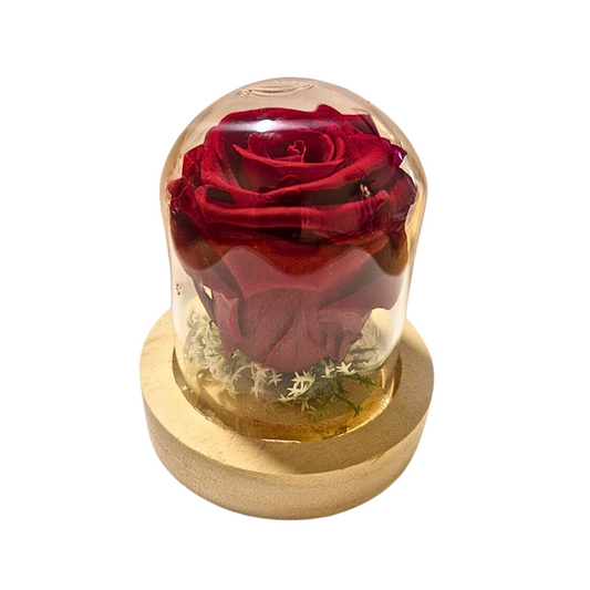 Forever Love Glass Dome Preserved Rose ️‍🌹